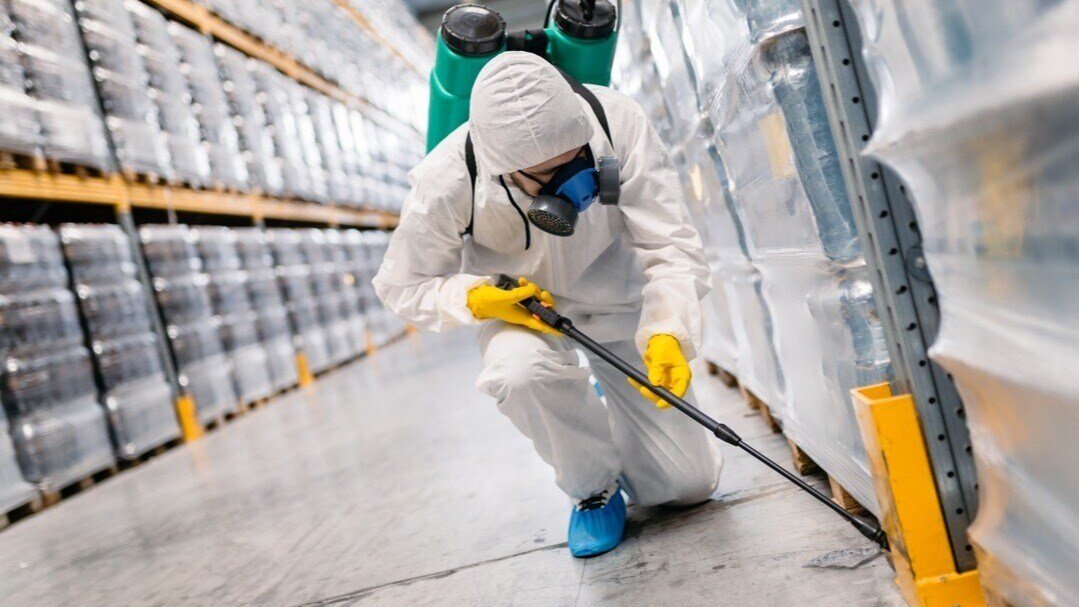 Pest Control Service