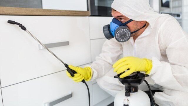 Pest Control Service1